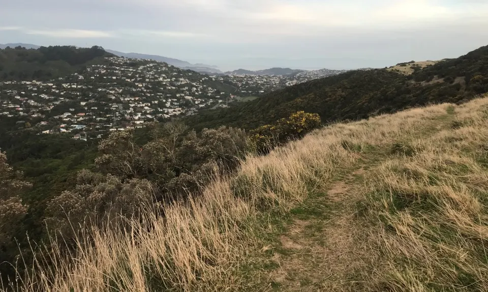 Graveyard Shift, Wellington