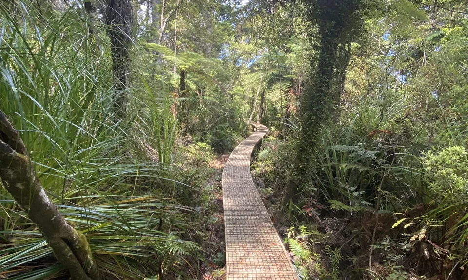 Hauturu High Point - East, Northland