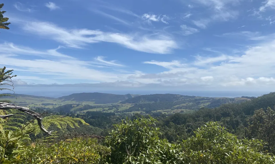 Hauturu High Point - East, Northland