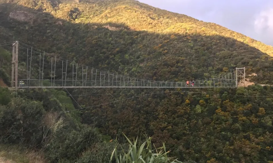 Swing Into Action, Wellington