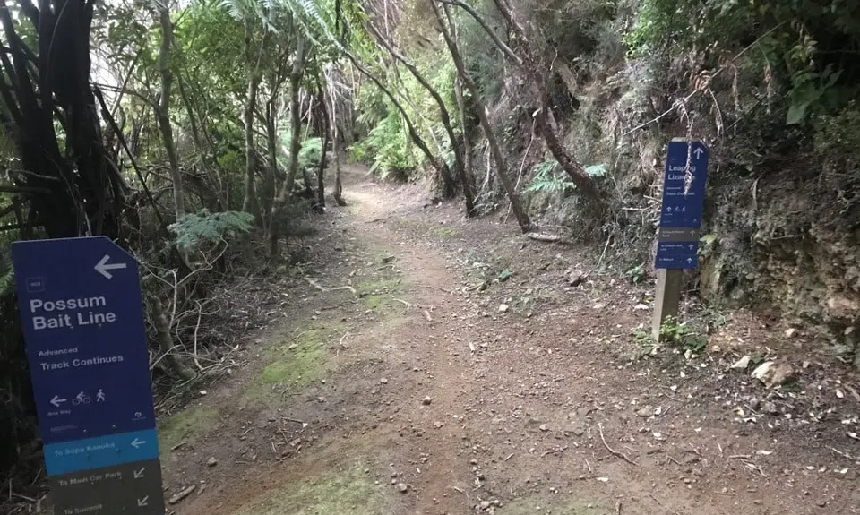 Swing Into Action, Wellington