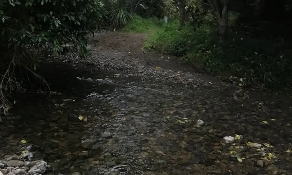 Swing Into Action, Wellington