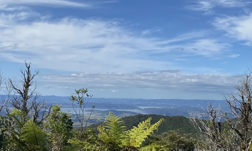 Hauturu High Point - East, Northland