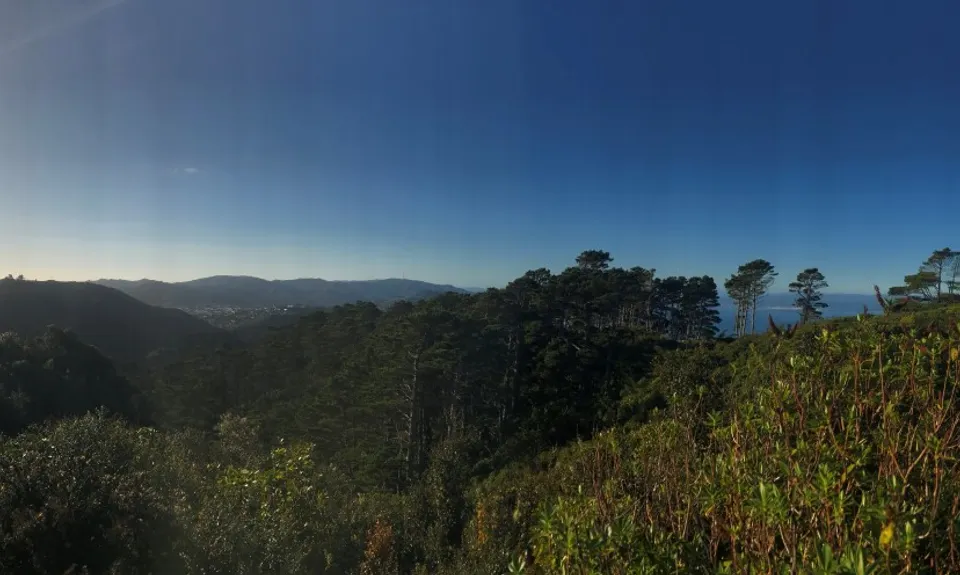 Seeking Sanctuary, Wellington