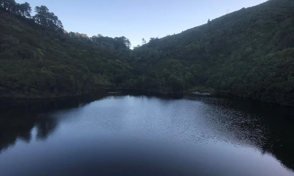 Seeking Sanctuary, Wellington