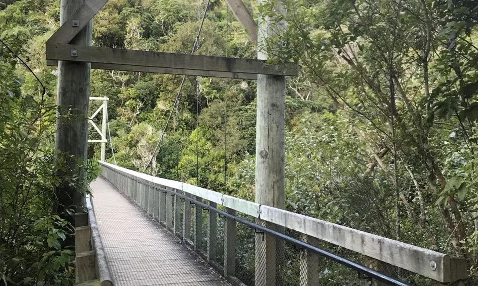 Seeking Sanctuary, Wellington