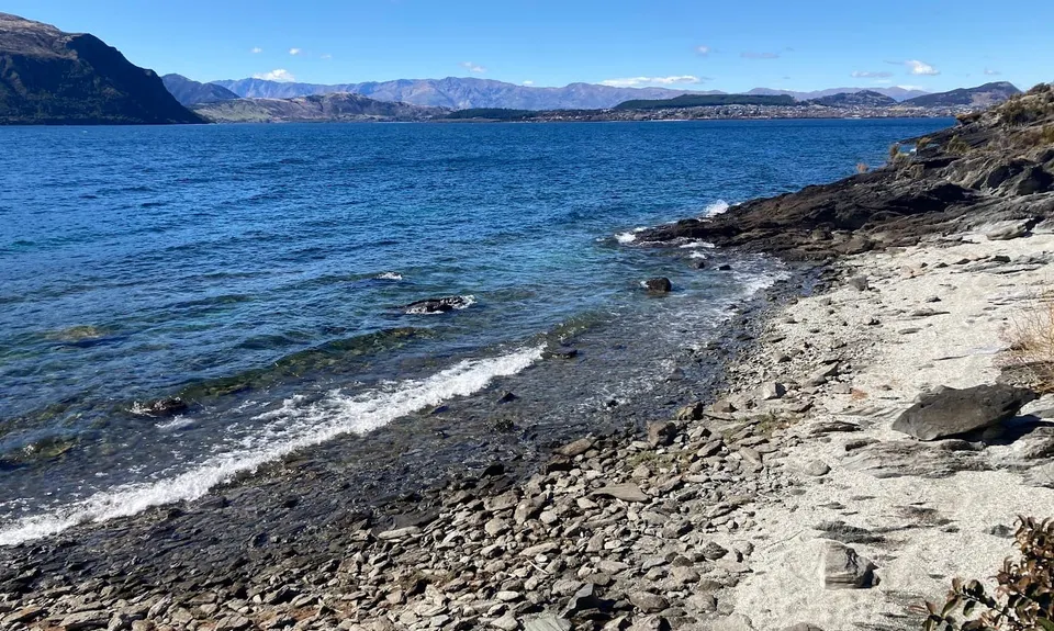 Millennium Track: Glendhu Bay to Wānaka Tree, Otago