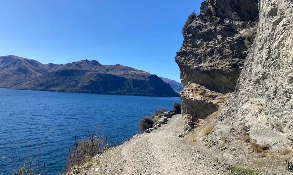 Millennium Track: Glendhu Bay to Wānaka Tree, Otago