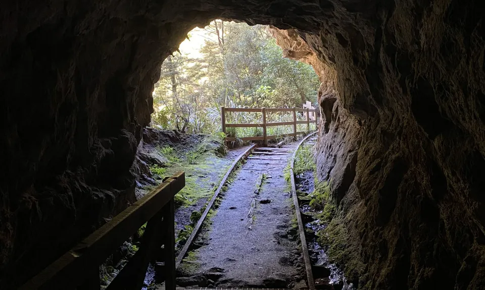 Charming Creek Walkway, West Coast