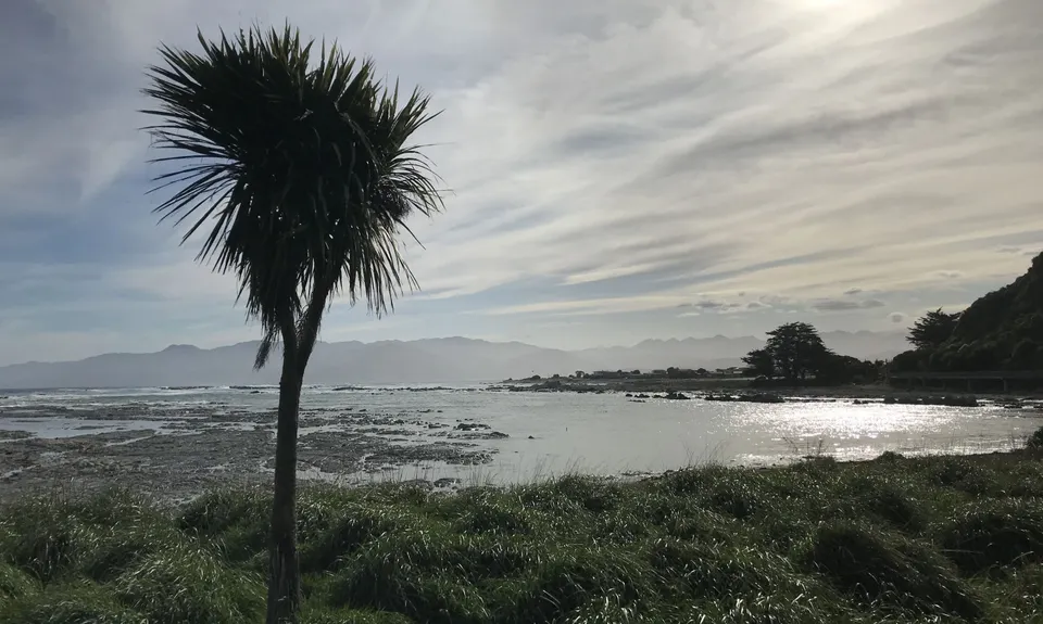 Kaikoura Cracker, Canterbury