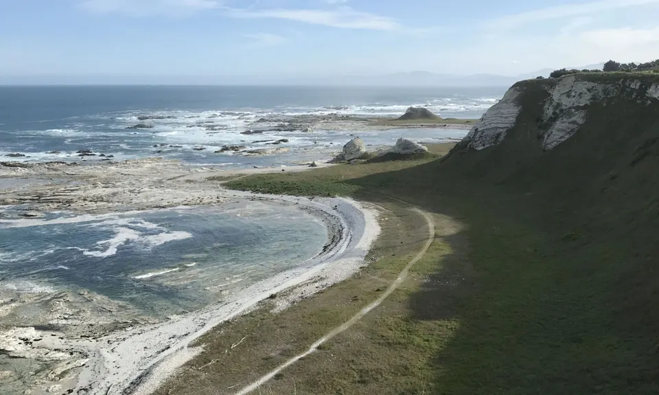 Kaikoura Cracker, Canterbury