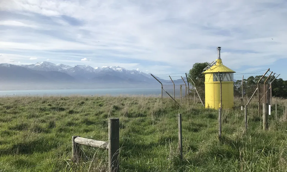 Kaikoura Cracker, Canterbury