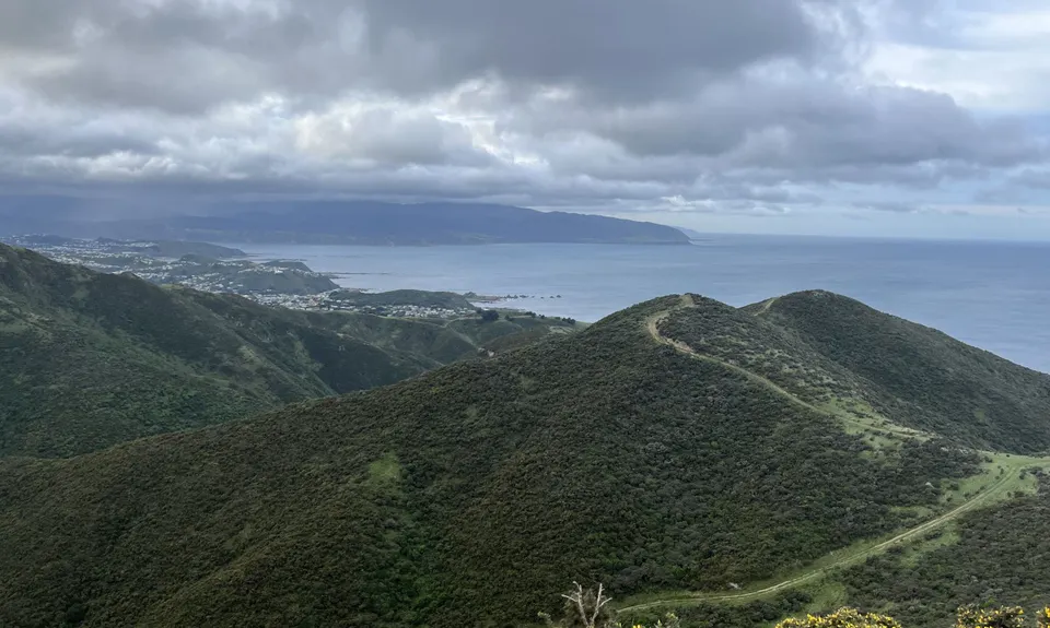 Aro Valley - Red Rocks Thigh Buster, Wellington