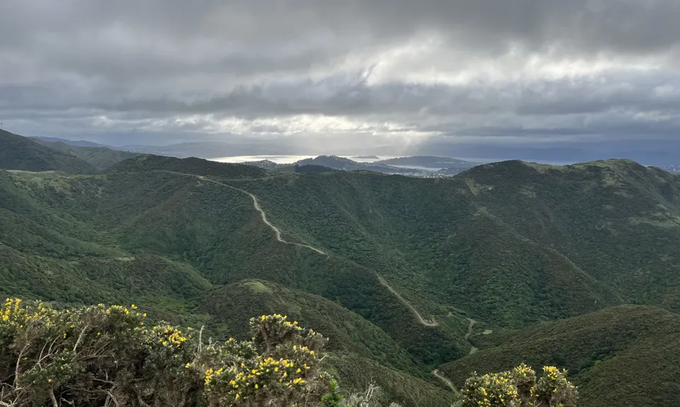 Aro Valley - Red Rocks Thigh Buster, Wellington