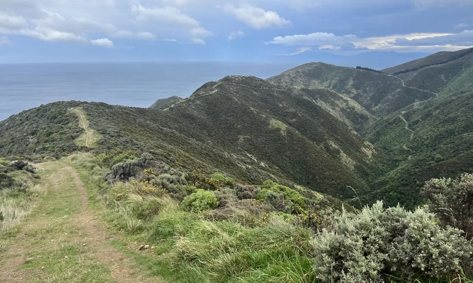 Aro Valley - Red Rocks Thigh Buster, Wellington