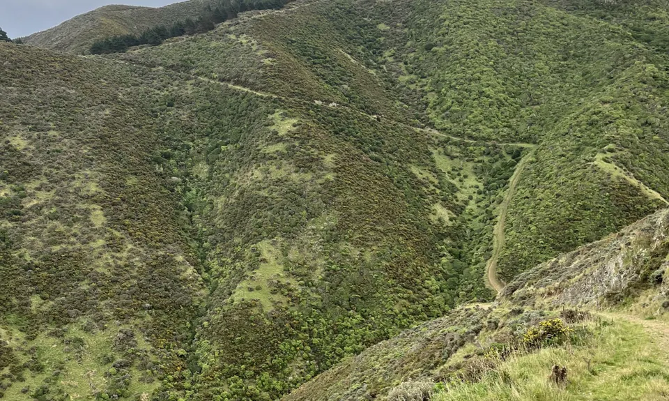Aro Valley - Red Rocks Thigh Buster, Wellington