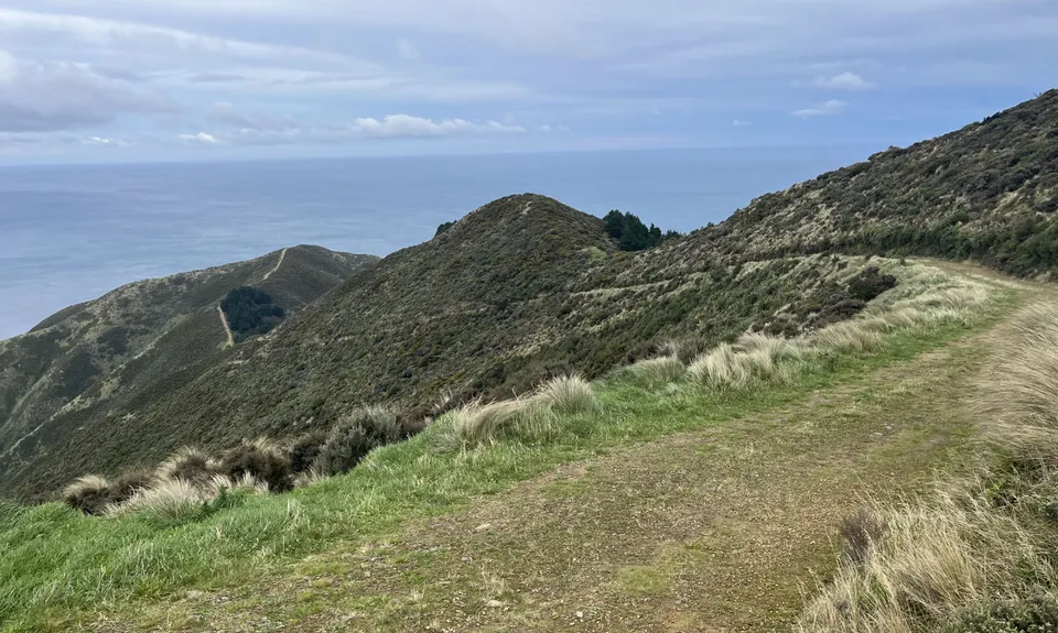 Aro Valley - Red Rocks Thigh Buster, Wellington