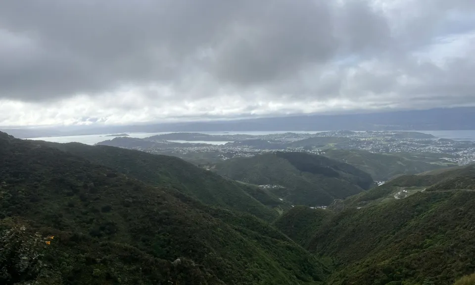 Aro Valley - Red Rocks Thigh Buster, Wellington
