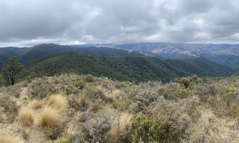 Mt Thomas Routes and Ridges, Canterbury