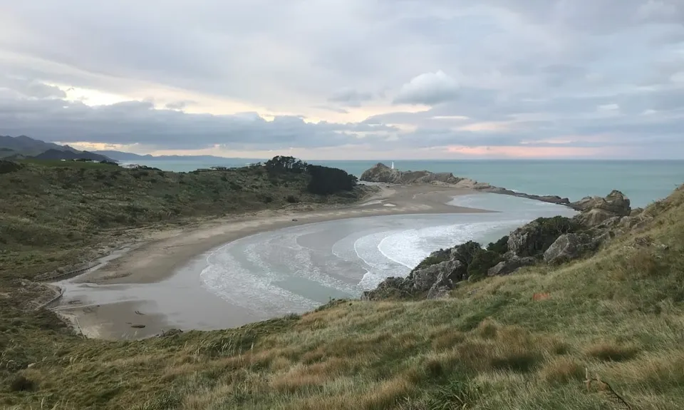 Deliverance Cove & Lighthouse Loop, Wellington