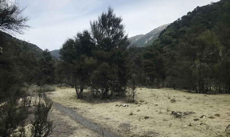Mt Fyffe-Kowhai Saddle circuit, Canterbury