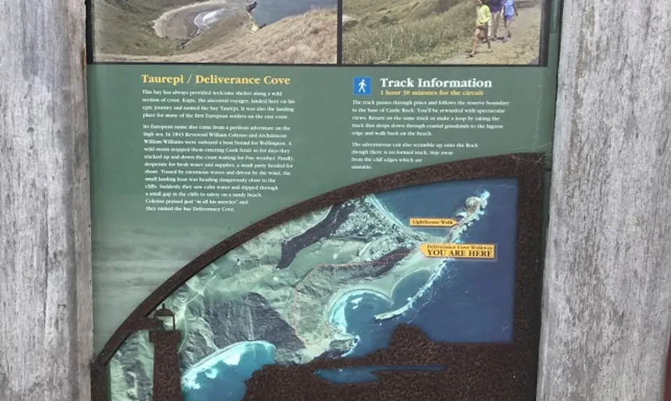 Deliverance Cove & Lighthouse Loop, Wellington