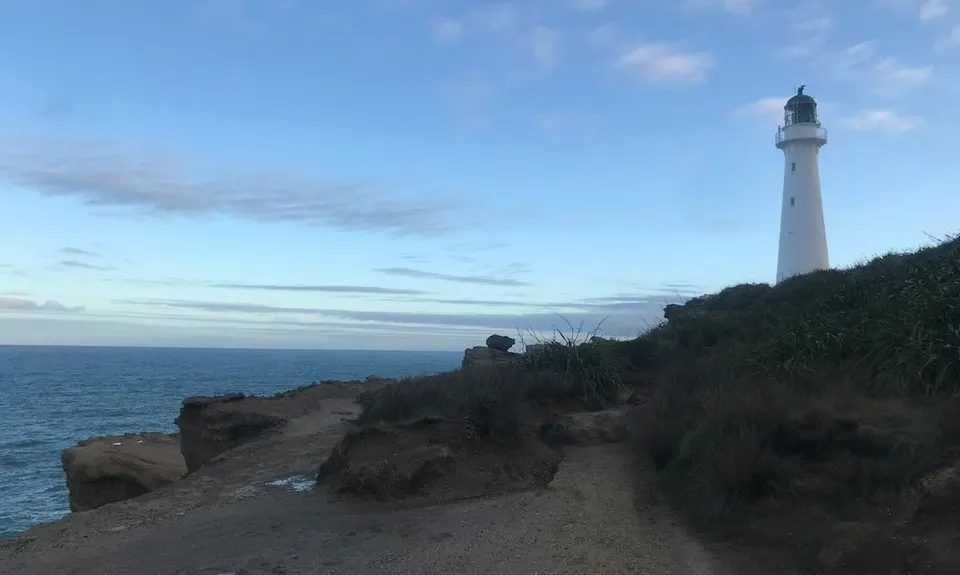 Deliverance Cove & Lighthouse Loop, Wellington