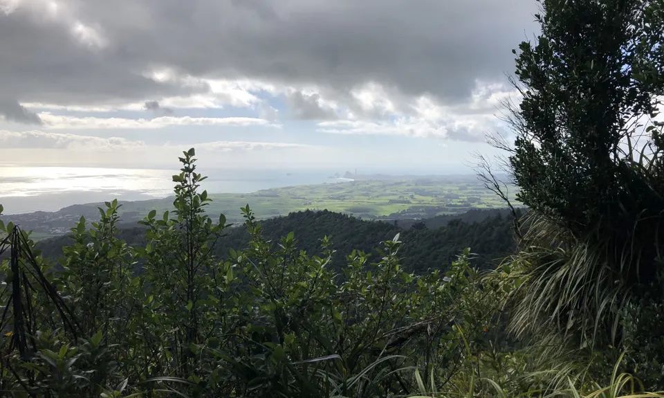 Looping Lucys, Taranaki