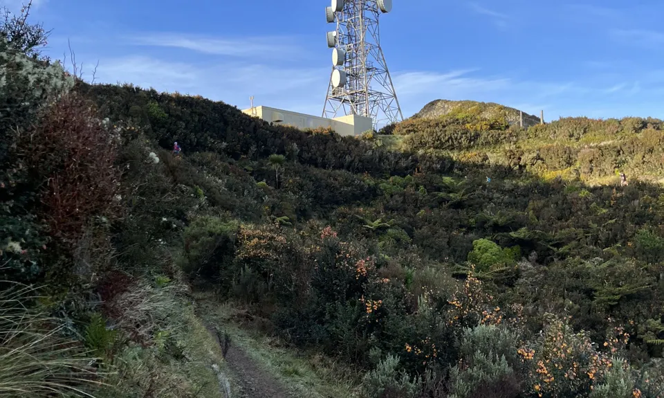 WUU2k - 42km Route, Wellington