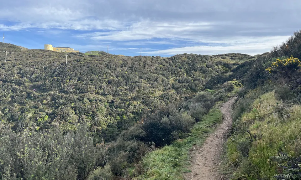 WUU2k - 42km Route, Wellington