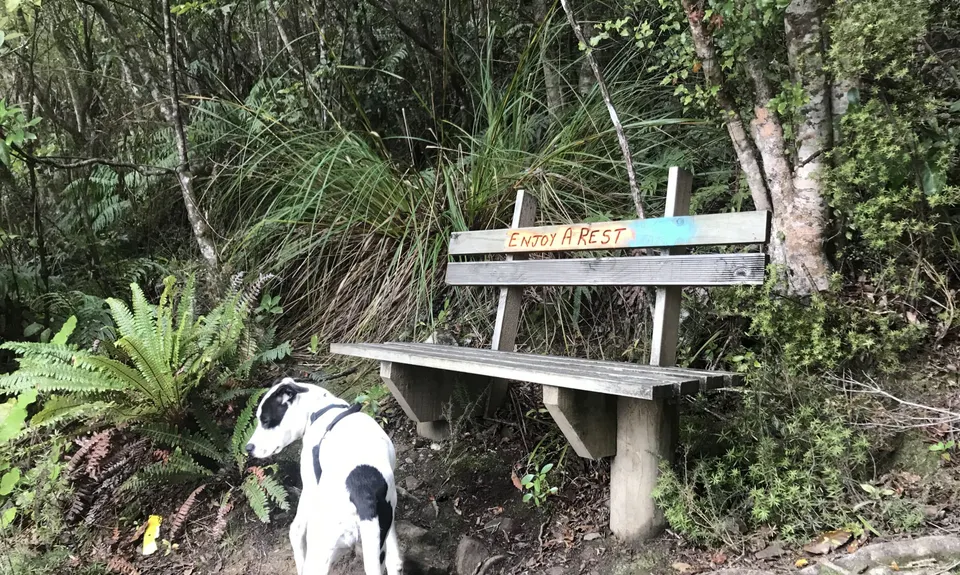Tawhai Loop, Wellington