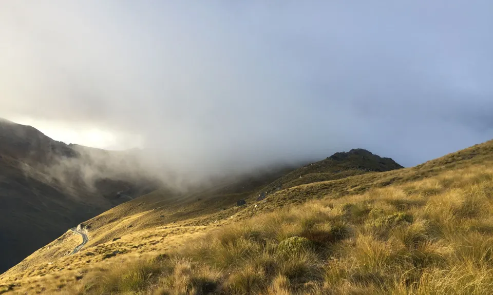 The Harcombe Round, Otago