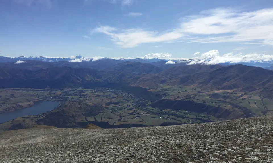 The Harcombe Round, Otago