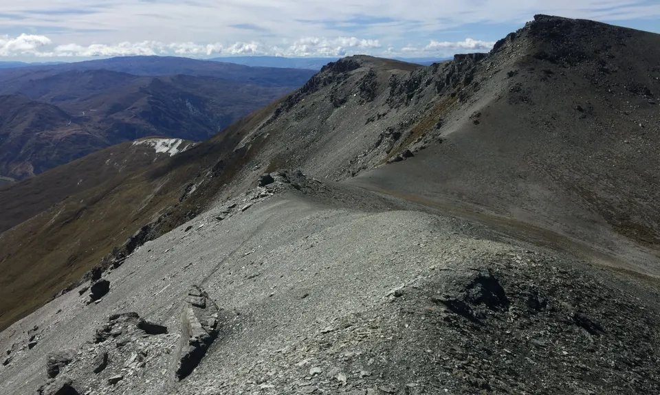 The Harcombe Round, Otago