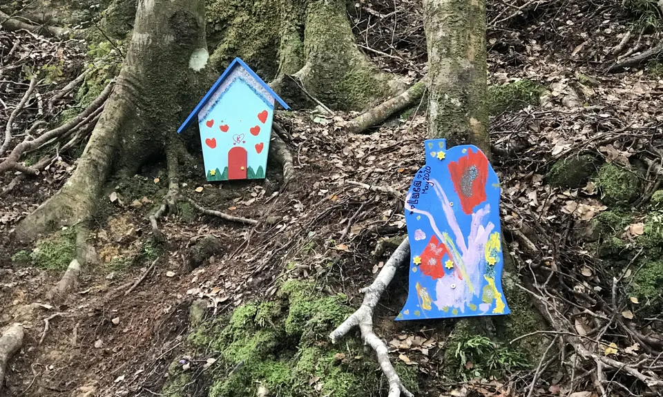 Tawhai Loop, Wellington