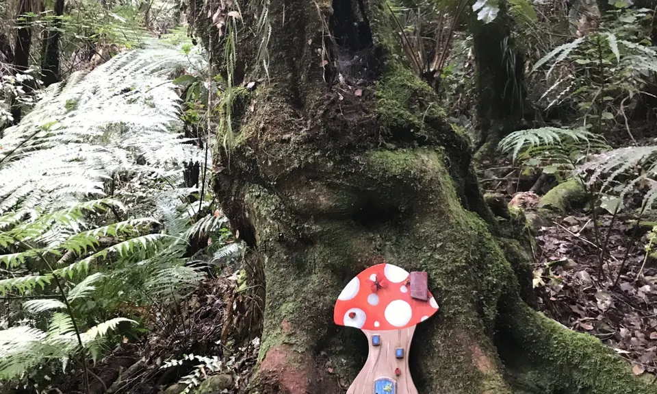 Tawhai Loop, Wellington