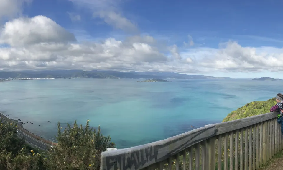 Te Ara Papararangi Views, Wellington