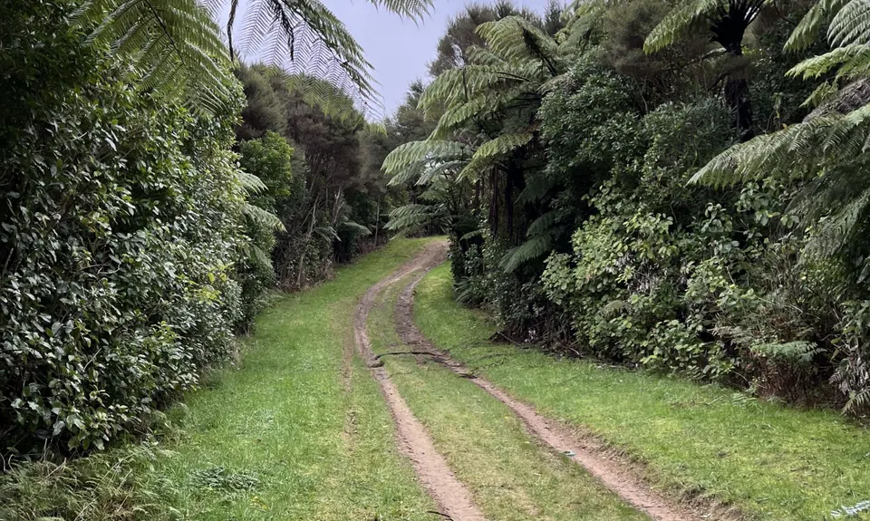 Dry Creek Loop, Wellington