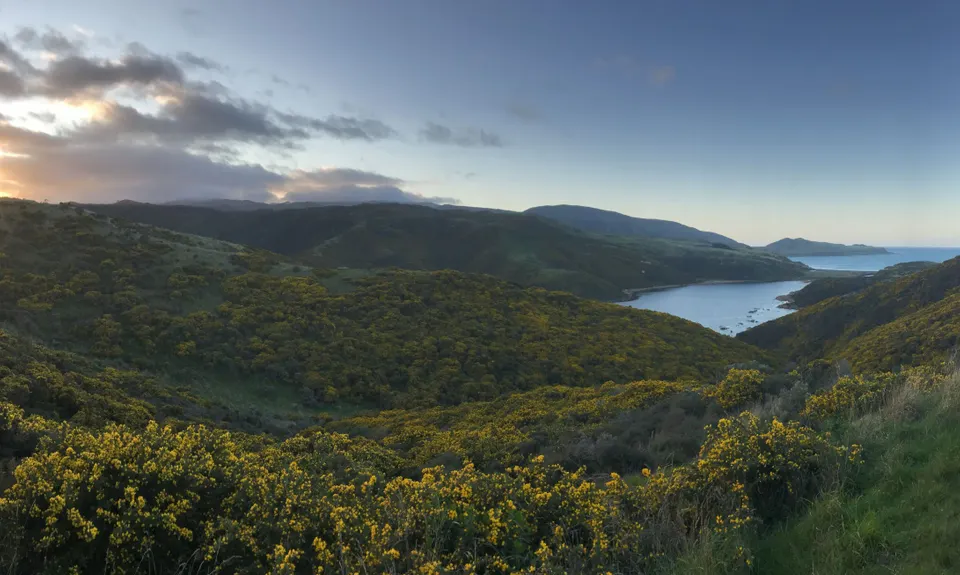 Lighthouses and Lakes, Wellington
