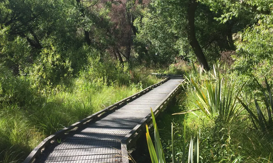 Lake Hayes Circuit, Otago