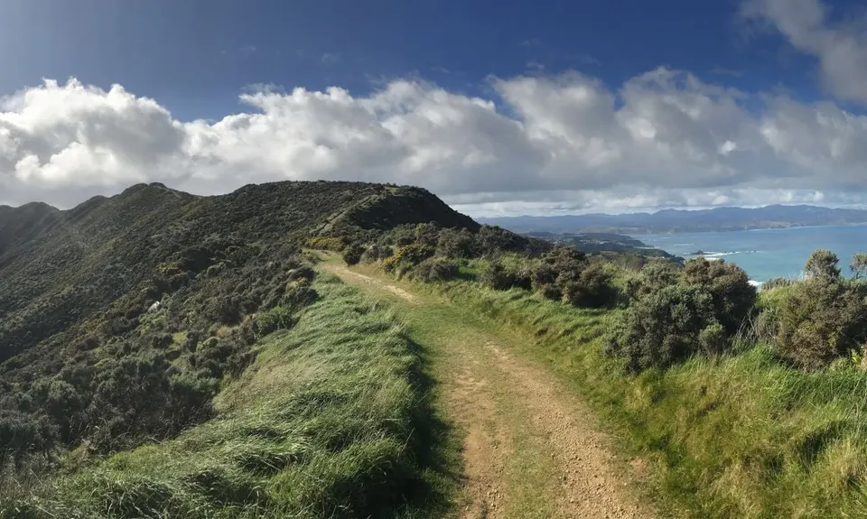 Aro Valley - Red Rocks Thigh Buster, Wellington