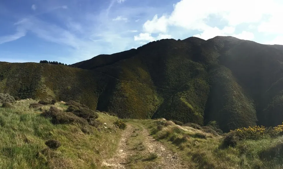 Aro Valley - Red Rocks Thigh Buster, Wellington