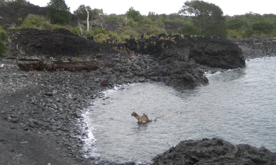 The Rangicircum, Auckland