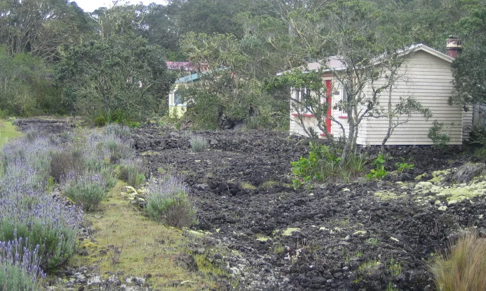 The Rangicircum, Auckland