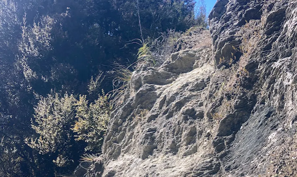 Sawyer Burn, Otago