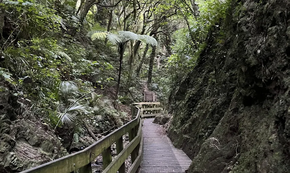 Sugarloaf and Waterfalls Loop, Wellington