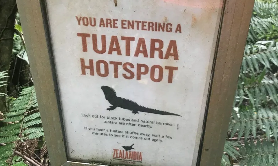 Seeking Sanctuary, Wellington