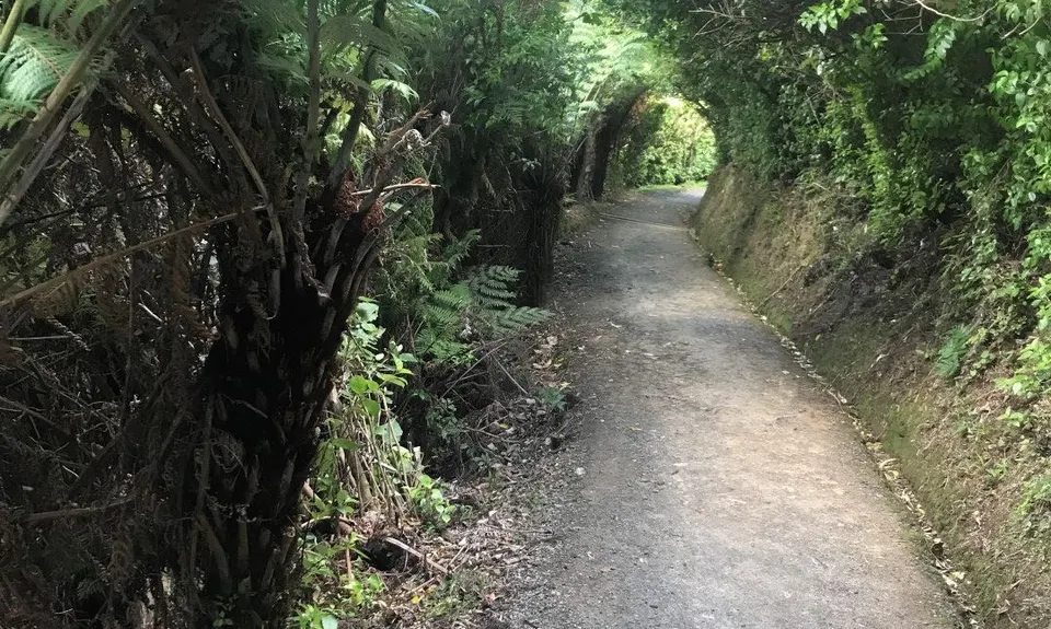 Butterfly Creek Loop, Wellington