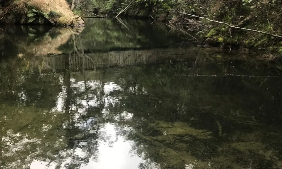 Butterfly Creek Loop, Wellington