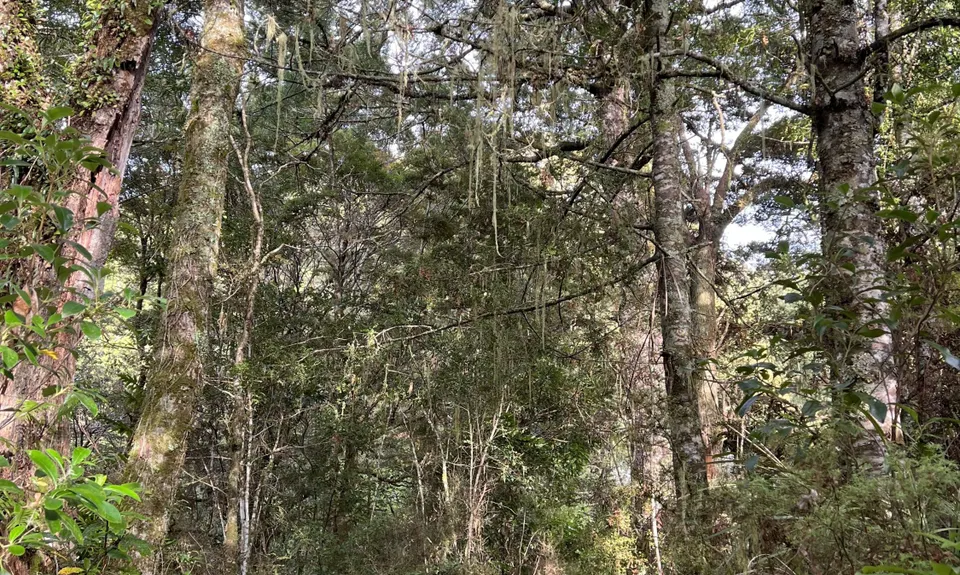 Waihora to Waihaha, Waikato